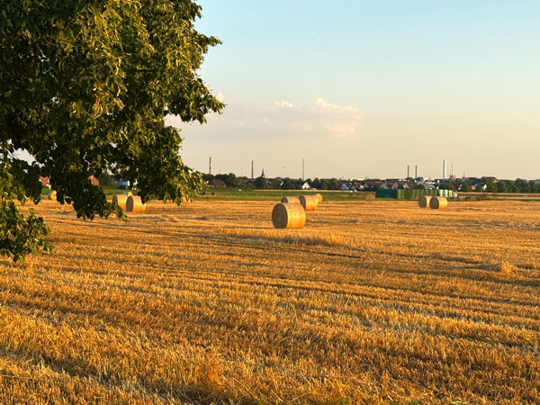 Dormagen